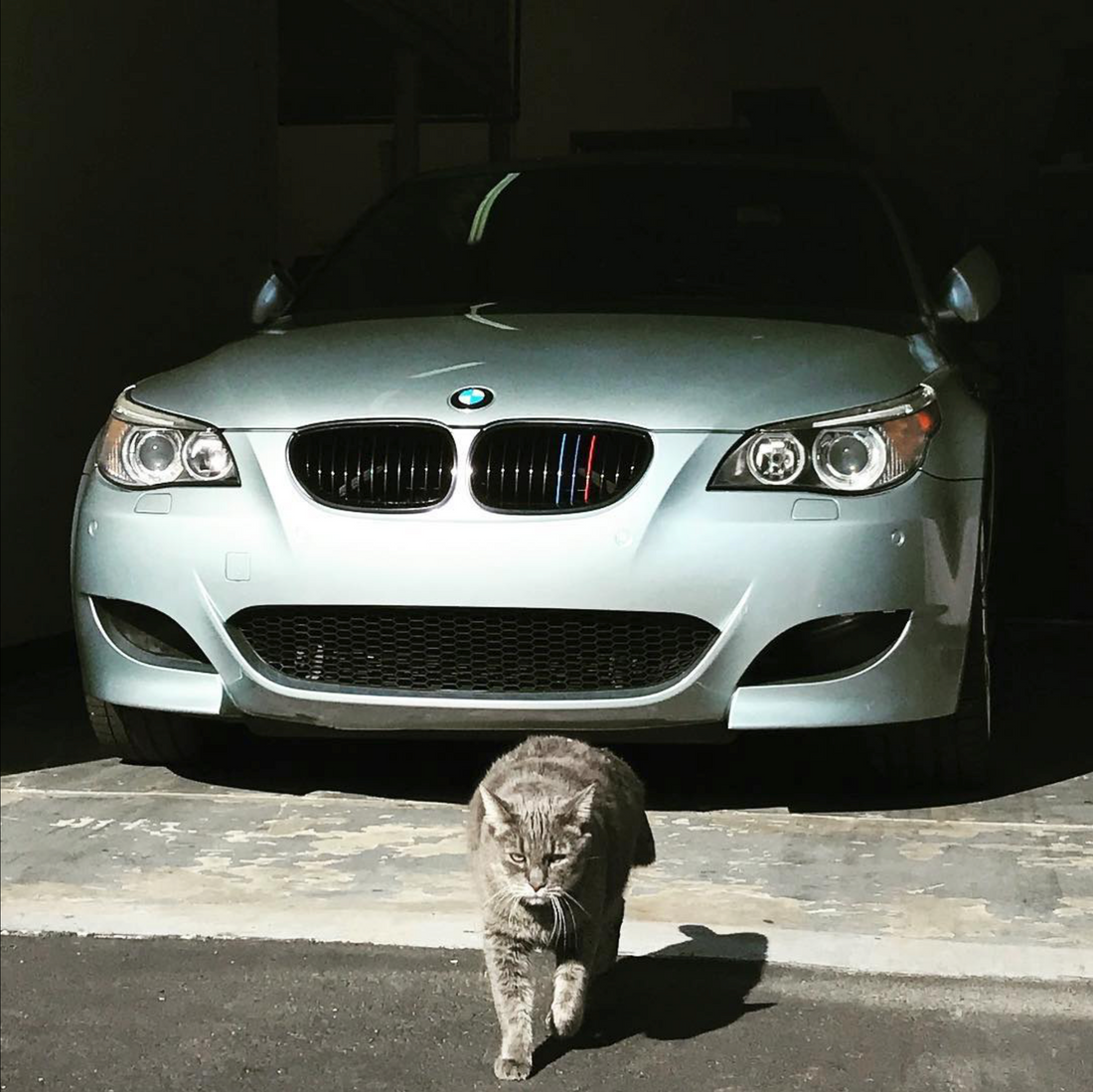 The 2006 BMW E60 M5